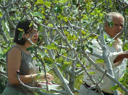 Fundación con tus manos construimos A.C.