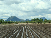 Fundación con tus manos construimos A.C.