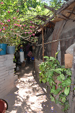 Fundación con tus manos construimos A.C.